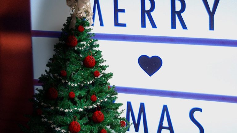 albero