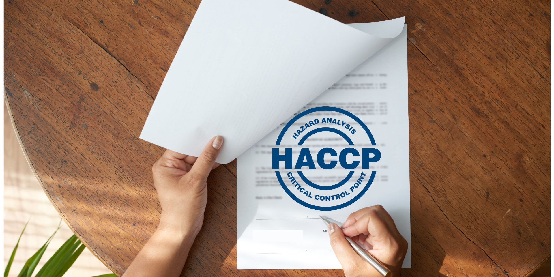 haccp_form_web