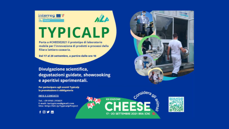 typicalp_2021