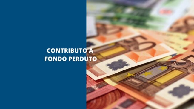 contributo-a-fondo-perduto-1030×579