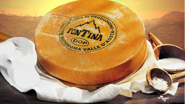 fontina