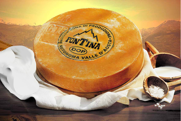 fontina