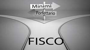 partita-iva-minimi-forfettario
