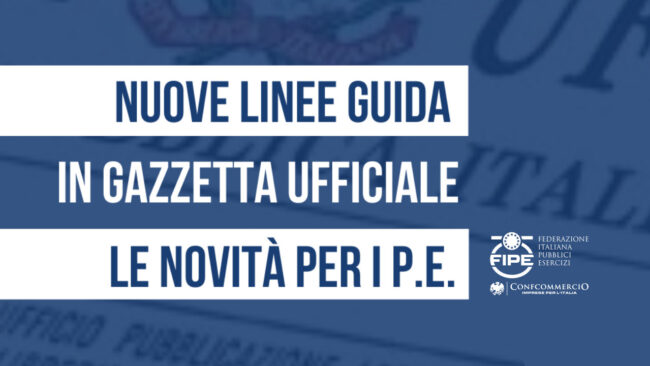 linee_guida_fipe_apr_22